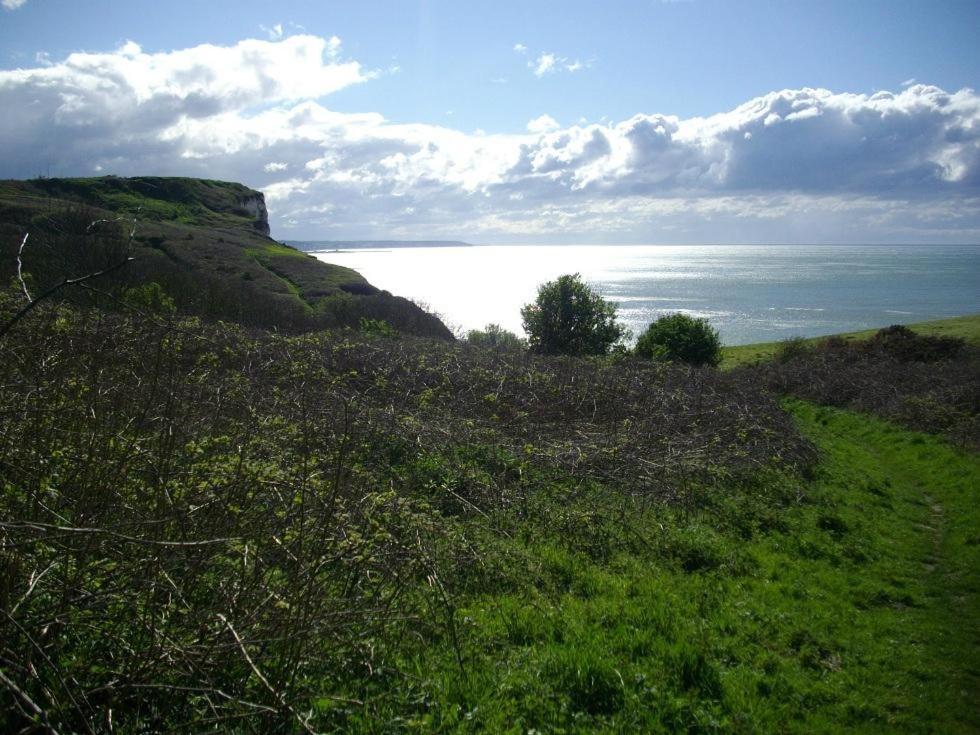 Villa Les Falaises Berneval-le-Grand Екстериор снимка